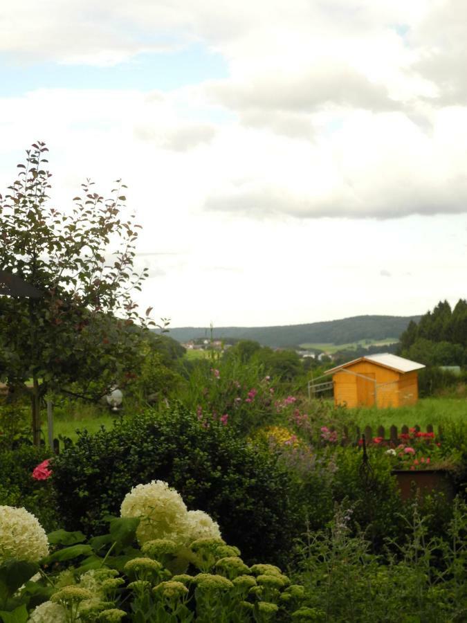 Villa Luzia Meuspath Kültér fotó